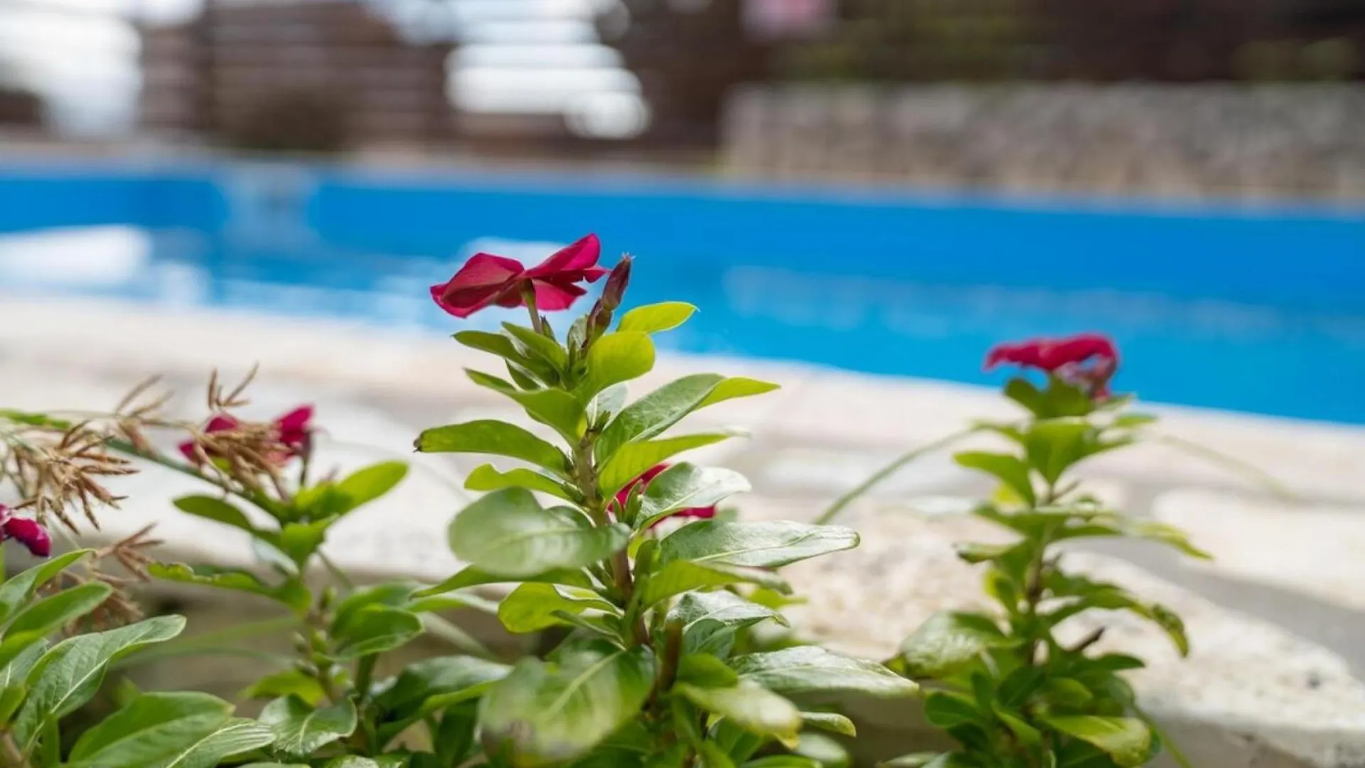Belle Helens Villa Kefalonia 아르고스톨리온 0*,